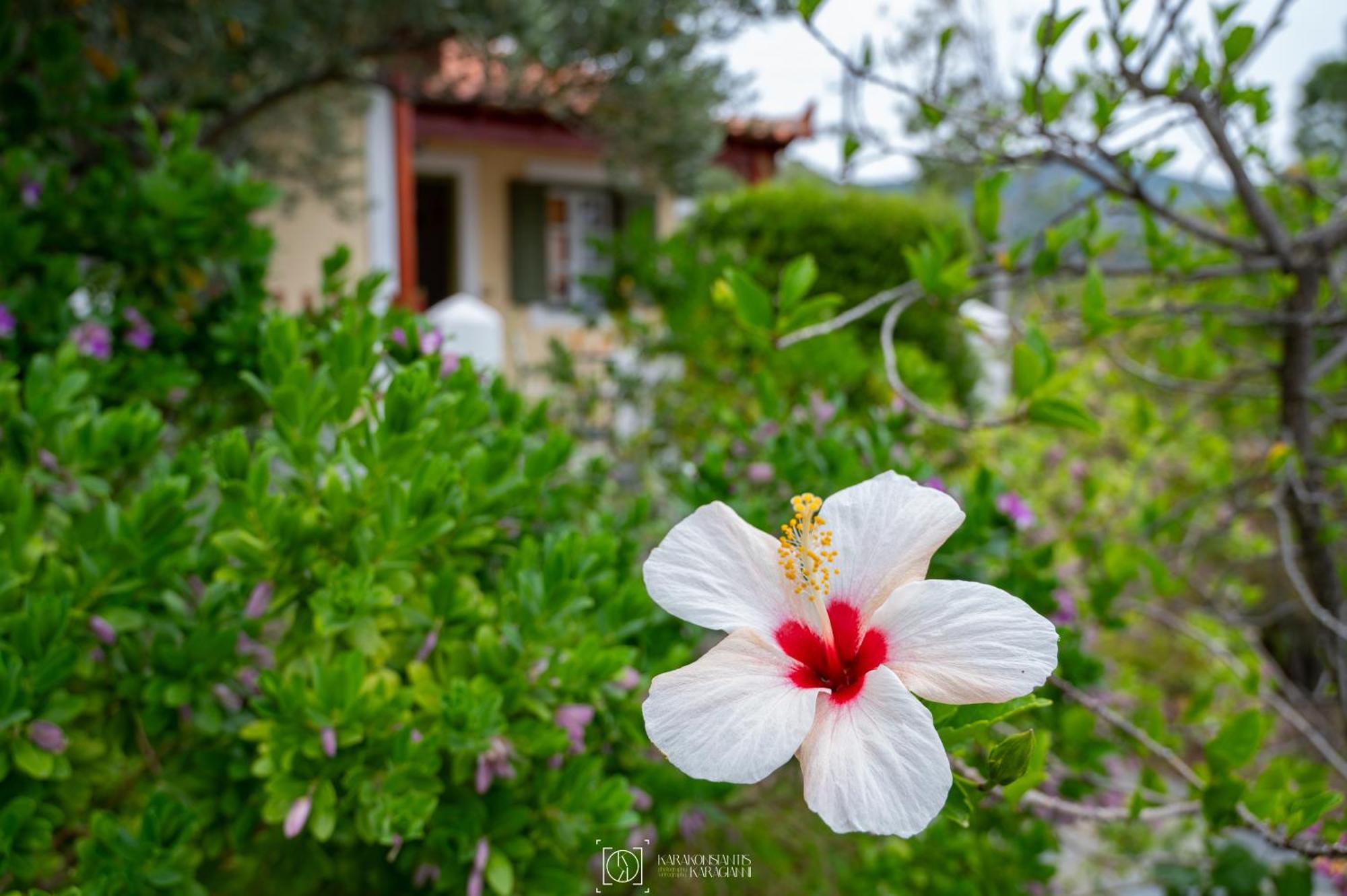 Appartement Pleiades Samos à Marathókampos Extérieur photo